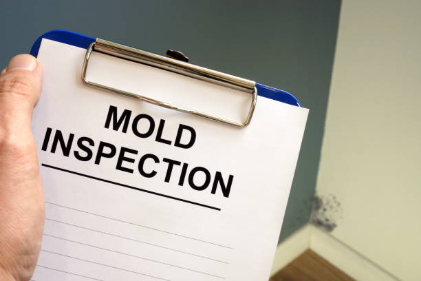 Best Mold Removal for HVAC Installations  in Ardmore, AL